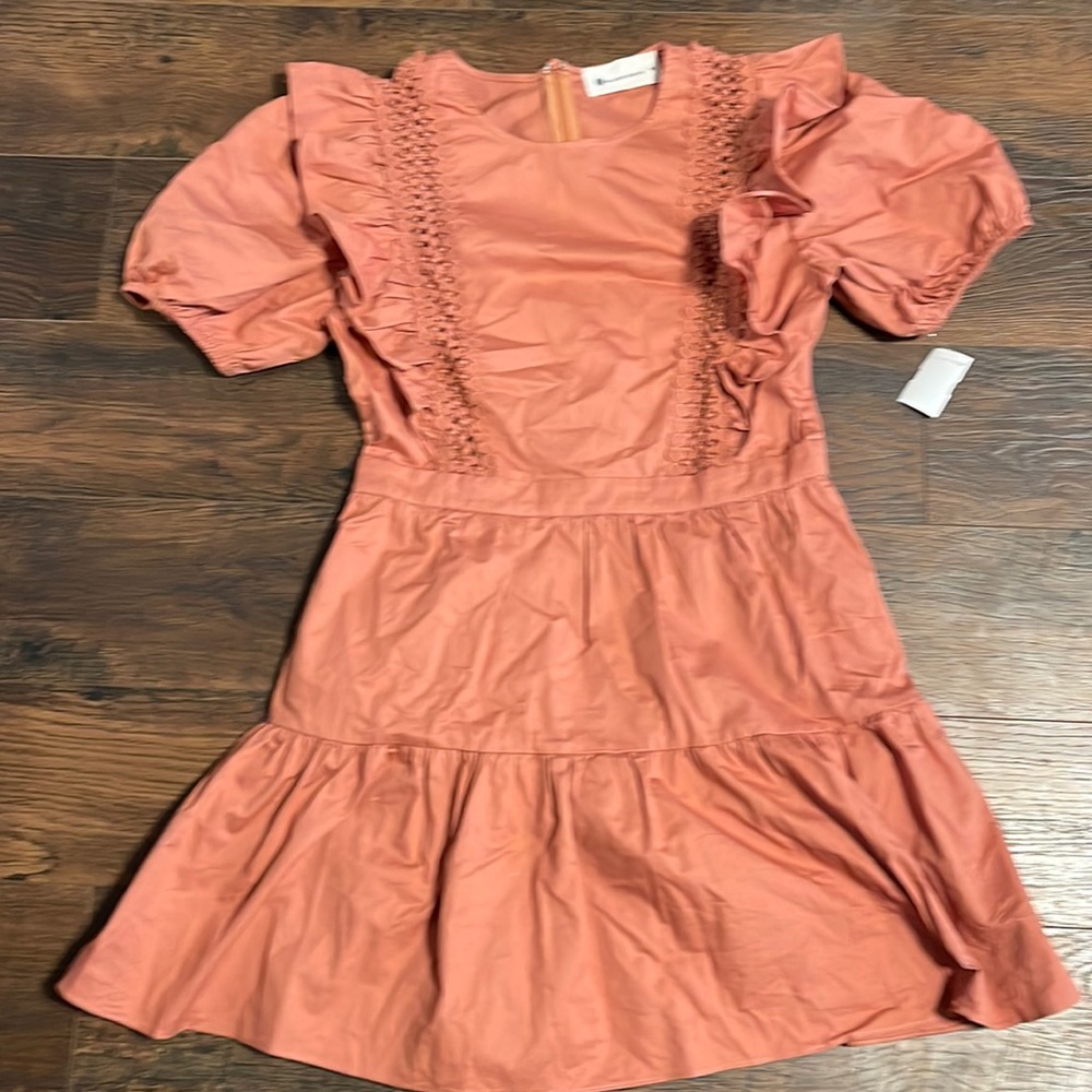 NWT Terracotta Puff Sleeve Embroidered Dress